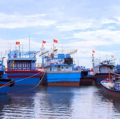Bộ NN&PTNT đồng ý cho phép cải hoán tàu cá dưới 15 m